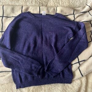 Purple glittery sweater